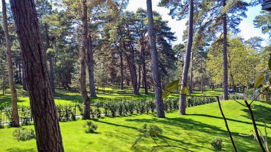 Anbo Vila Palanga Luaran gambar